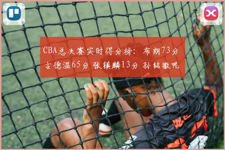 CBA总决赛实时得分榜：布朗73分 古德温65分 张镇麟13分 孙铭徽呢