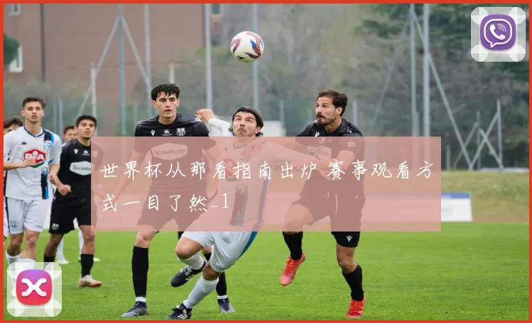 世界杯从那看指南出炉 赛事观看方式一目了然_1