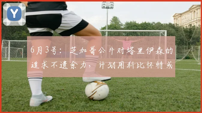 6月3号：芝加哥公牛对塔里伊森的追求不遗余力，计划用科比怀特或多森姆求购_交易_火箭_公牛队